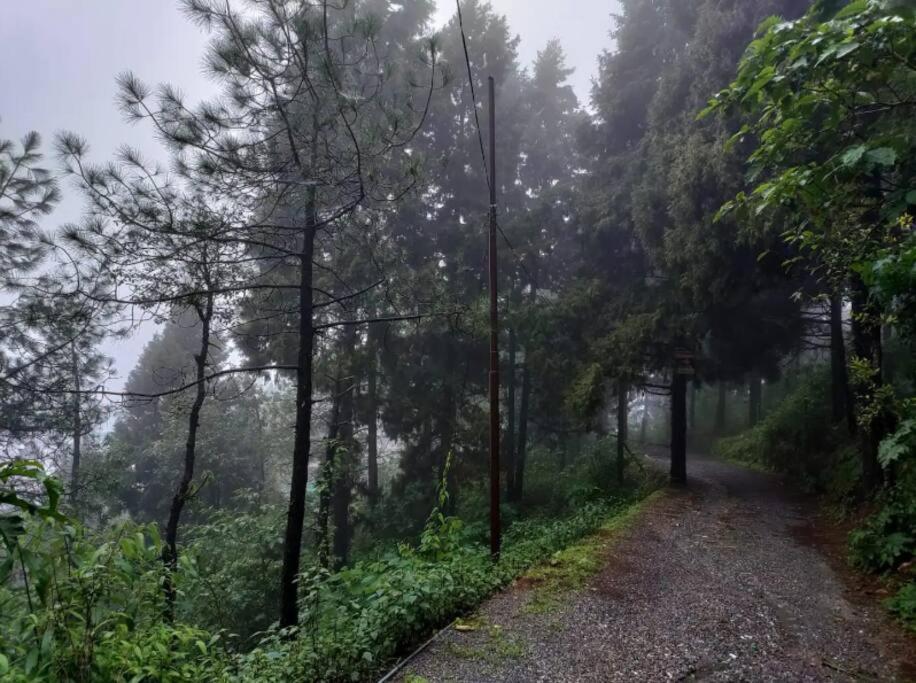 The Hill Story, Entire Chalet, Offbeat,Cozy มัสซูรี ภายนอก รูปภาพ