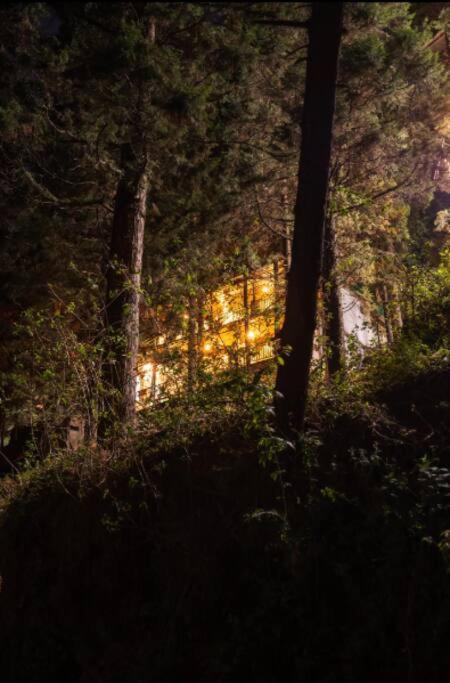 The Hill Story, Entire Chalet, Offbeat,Cozy มัสซูรี ภายนอก รูปภาพ